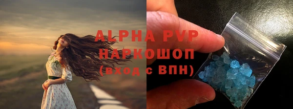 индика Волосово