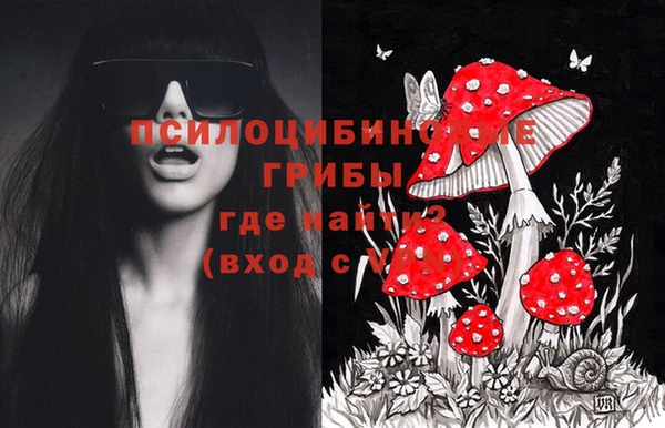 соль ск Верея
