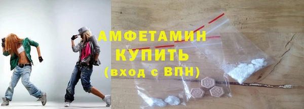 индика Волосово