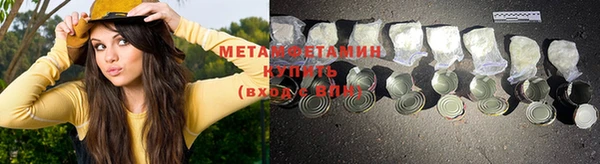 индика Волосово